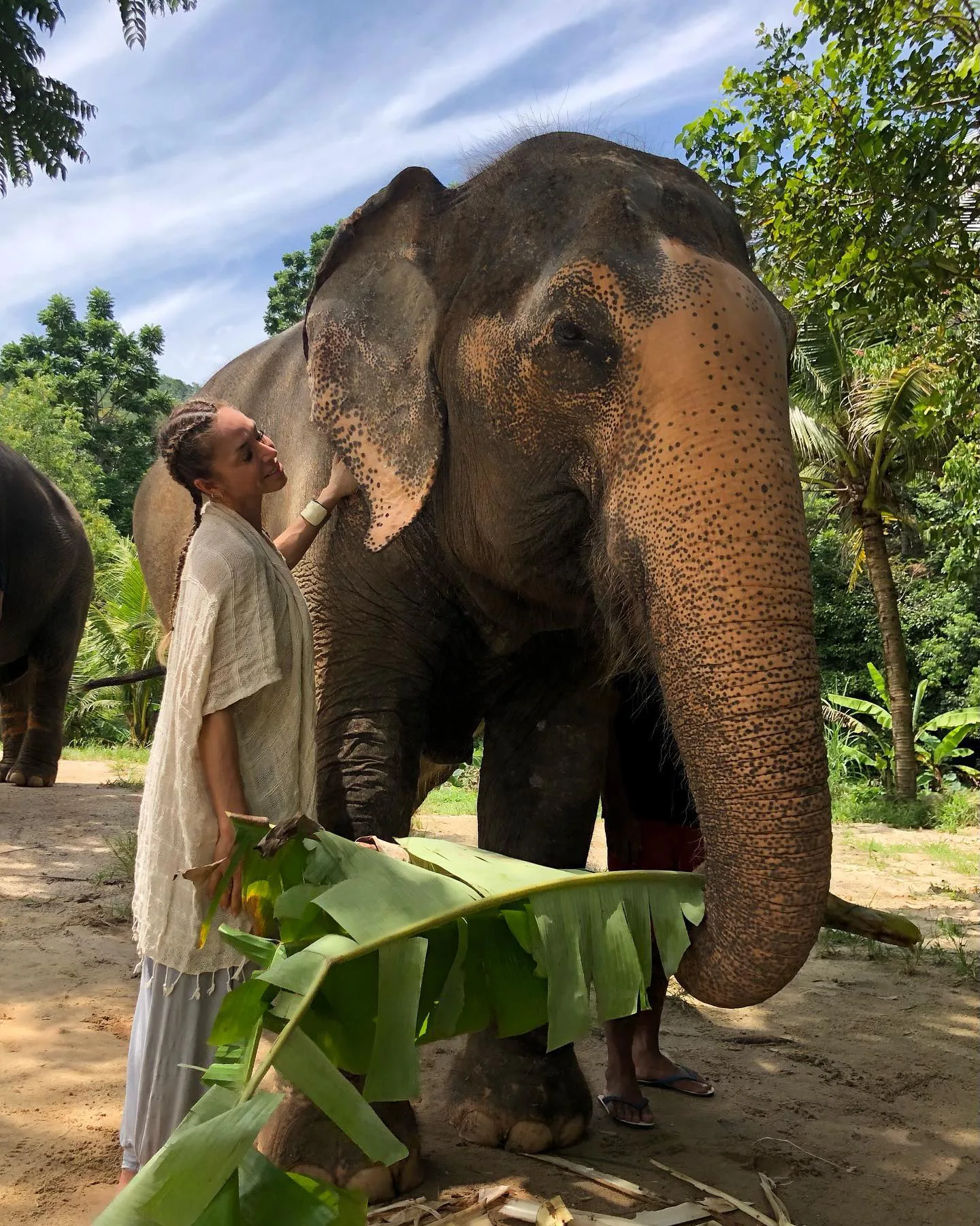 BeFitreat Thailand Retreat – Excursions to Elephant Sanctuary in Phuket